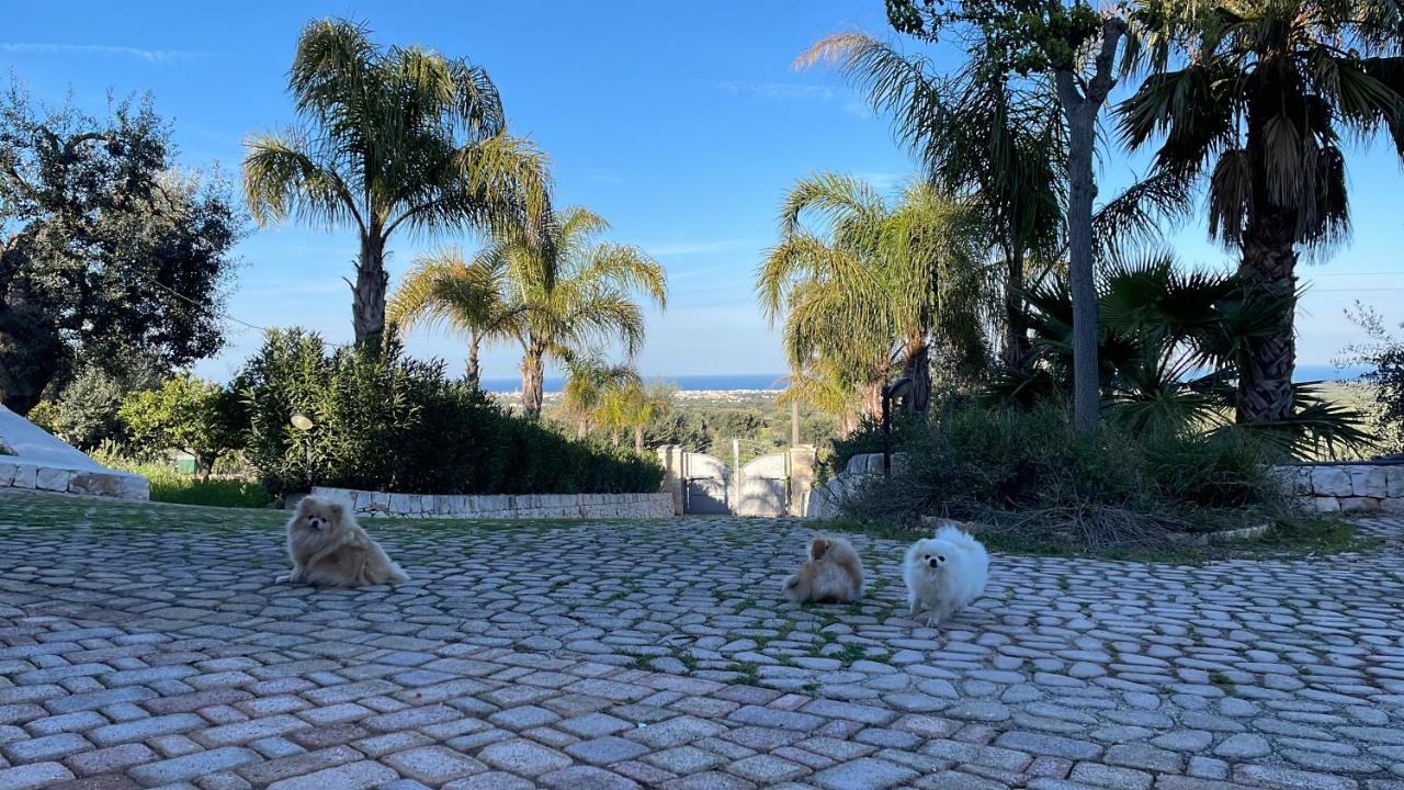 Alla Villa Di Angelo Monopoli Εξωτερικό φωτογραφία