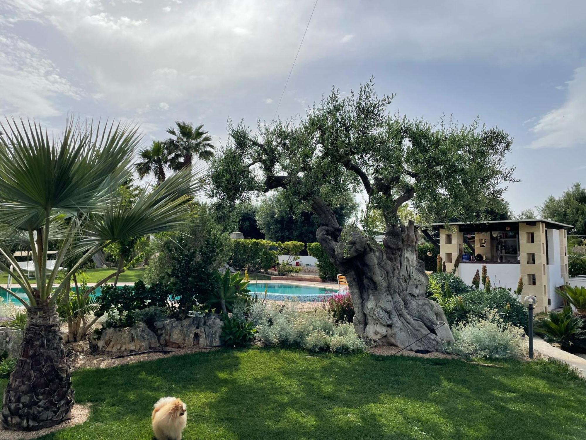 Alla Villa Di Angelo Monopoli Εξωτερικό φωτογραφία