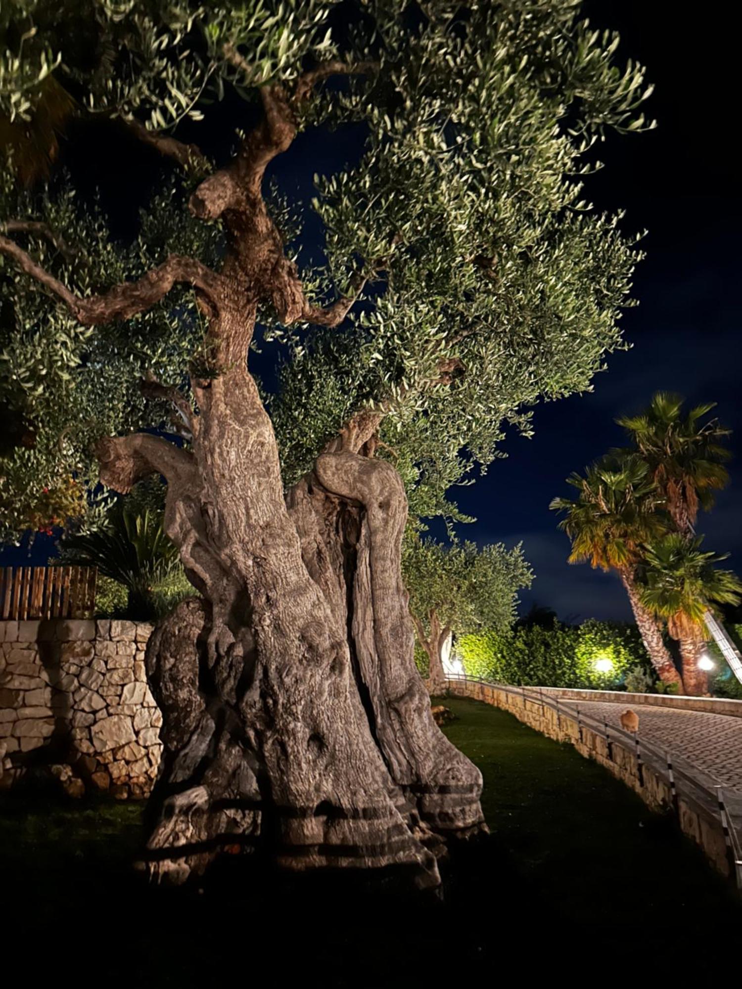 Alla Villa Di Angelo Monopoli Εξωτερικό φωτογραφία